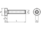 Zyl-Schr mit I-6rd niedr Kopf A2 BN15857 M2x10/X6 - Bossard Schrauben