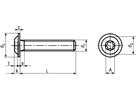 Linsenschr. I-6rd+Flan ST 08.8 VZB BN20367 M5x30/X25 - Bossard Schrauben