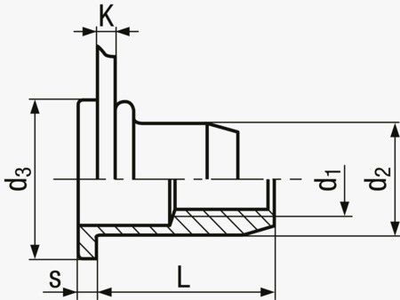 TUBTARA® Flachkopf offen St vz BN4575 M6 UT/FEF 8 - Bossard Schrauben