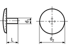 Abdeckkappen für Senk-Holzschrauben BN2038 2,5-15black - Bossard Schrauben