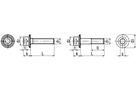 Zyl-S I-6kt INBUS RIPP® ST 100 SCHW BN3873 M12x50 - Bossard Schrauben