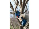 Akku-Gartenschere GGP 12V-25 bis Ø25mm, 4'500 Schnitte pro Akkuladung, 0.83kg - Bosch Elektrowerkzeuge