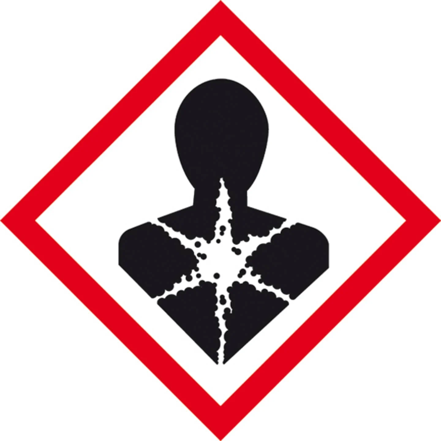 BRUNOX Turbo-Spray Kanister à 5L - Schmieren