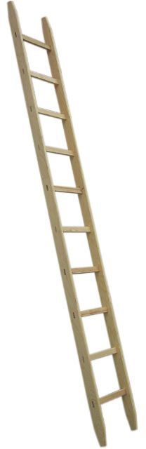 HB Holz-Anstell-Leiter Typ 480, 29 Sprossen, L=9.00m - Garten