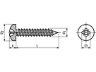 Linsen-Blechschr Pozi+Spitze A2 BN14063 DIN7981C 2,9x19 - Bossard Schrauben