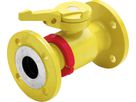 RMA Kugelhahn mit Flansch für Gas PN 5 Typ HKSF-I-GT-FS DN 32 - Wild Gebäudeeinführung