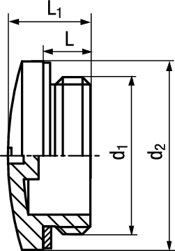 Verschlussschr M Dichtring PA6 BN22103 10.6315PAVSW - Bossard Schrauben