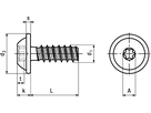 DELTA PT® WN 5451 Torx® Autos® vzb BN20040 50x14WN5451/25 - Bossard Schrauben