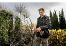FLEX Astschere GPS 35 18-EC 18V, max. Ø35mm , solo - Diverse Anbieter