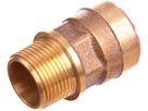 Industrie-Übergang mit AG 28 mm - 1" 8820.2811 - SudoFIT-Formstücke