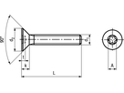Senk-Schr mit I-6rd INOX A4 BN20039 M5x50/X25 - Bossard Schrauben
