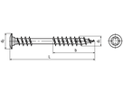 SPAX® Zierkopf I6rd INOX A2 BN2061 5 x 56 (T20) - Bossard Schrauben