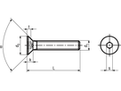Senk I-6kt o Scha St 010.9/10.9 ZL BN1422 DIN7991 M6x25 - Bossard Schrauben
