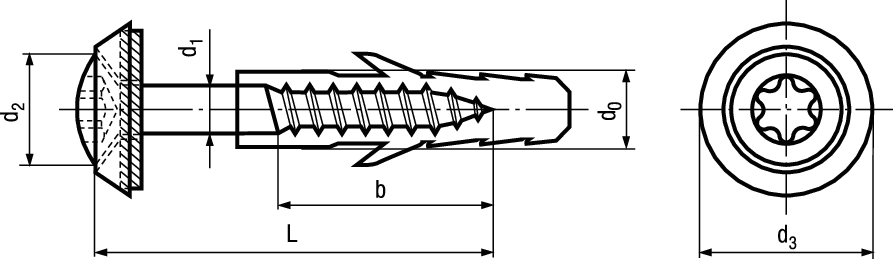Fassadenschr Cuvette INOX A2 BN20801 Ø4,5x35/24(X25) mit Dübel - Fassadenschrauben