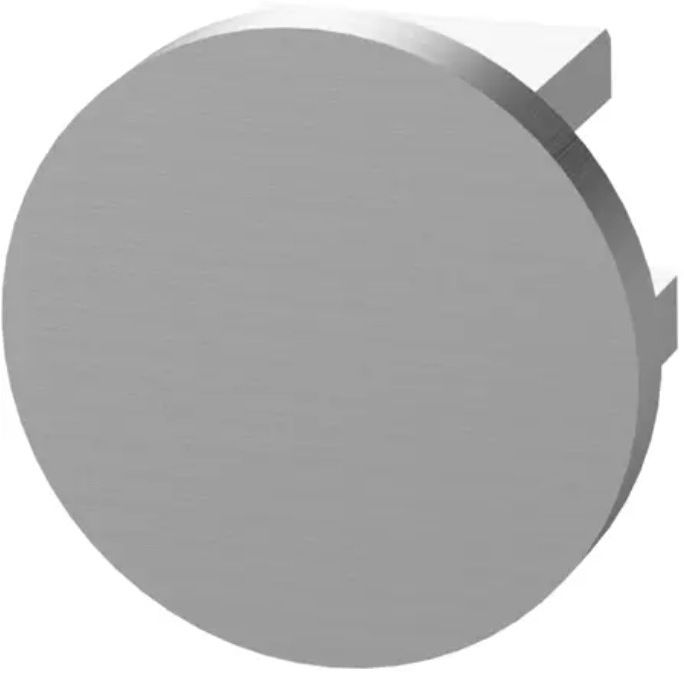 Endkappen Rund zu Ganzglasgeländer Handlauf Ø42,4 mm , 1.4301 geschliffen - INOXTECH-Handlauf-/Geländer-System