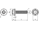 Gew-Furch 6-kt-Schr m Bund St vzb BN3326 DIN7500 M4x12 - Bossard Schrauben