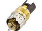 Ventileinsätze 3/8",1/2" Eck,Durchgang Thermostatventile RA-N 013G3063 - Danfoss Spezialartikel und Zubehör