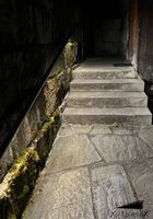 XILUMIX PIPE Led Modul Warmweiss , 2700K , Ø33.7mm - LED-Handlauf System