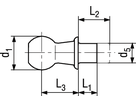 Kugelzapfen Form B kurz St BN487 DIN71803B 16 - Bossard Schrauben