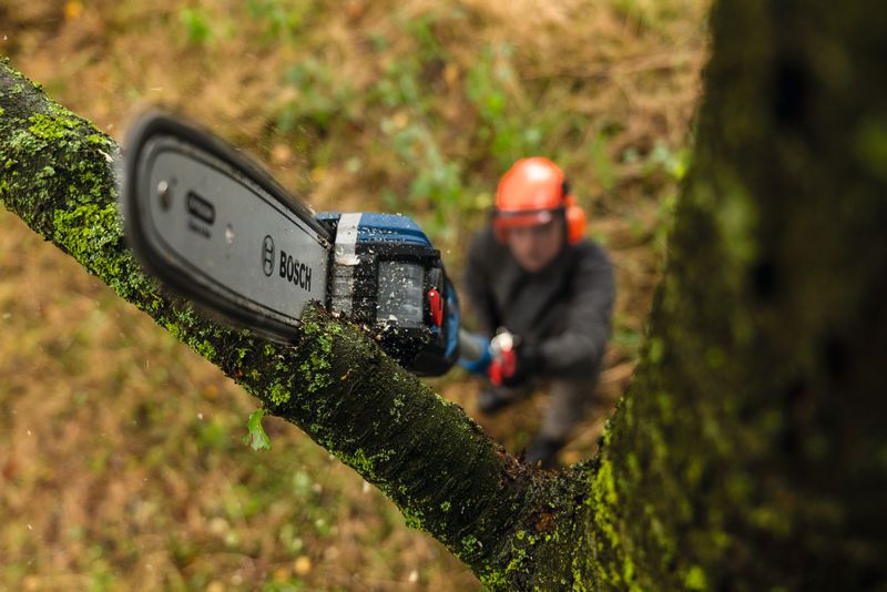 Akku-Teleskop-Kettensäge GKE 18V-25 TP Schwert 230mm, 7.7m/s, 2.9m Teleskop, Schultergurt - Bosch Elektrowerkzeuge