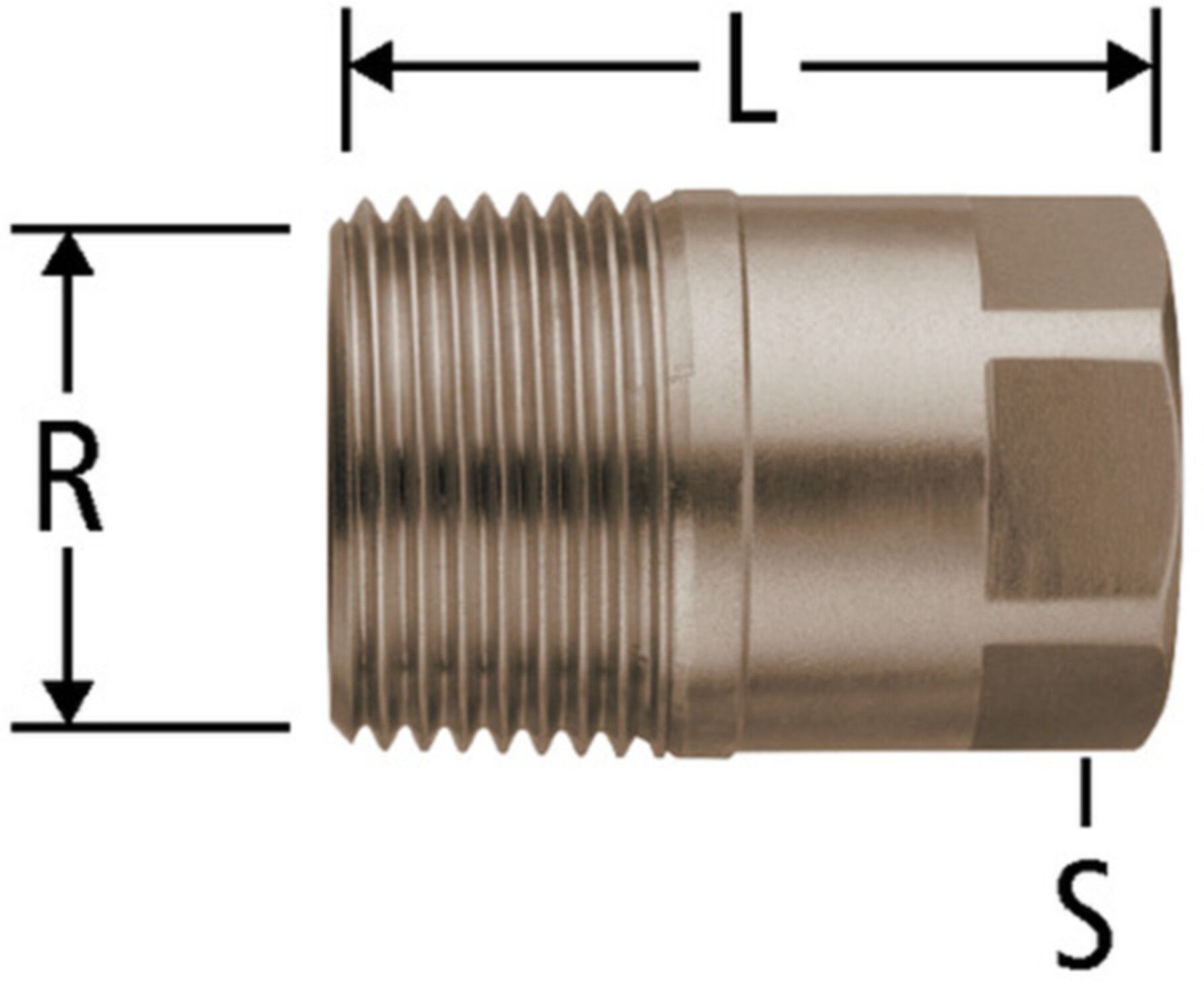 Verschlusszapfen NUSSBAUM Optiflex