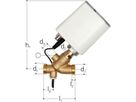 Hycleen LegioTherm 2T Zirkulationsventil mit Controller DN15 G 3/4" 9910.015 - JRG Armaturen