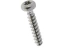 PT® WN 1452 Torx® INOX A2 BN20097 K30 x 6 WN 1452 / T1 - Bossard Schrauben