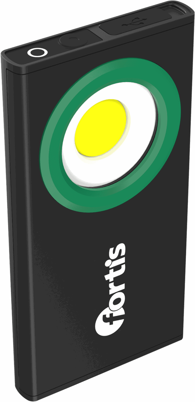 FORTIS Handlampe 5W 350lm 5000K IP54 Lithium-Ionen 4.48Wh - Lampen, Leuchten