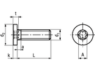 Zyl-Schr ex nied Kopf I-6rd INOX A2 BN20146 M2x8/X5 - Bossard Schrauben