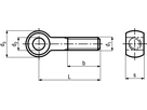 Augenschrauben Form A St 4.6 vzb BN253 DIN444A M10x100 - Bossard Schrauben