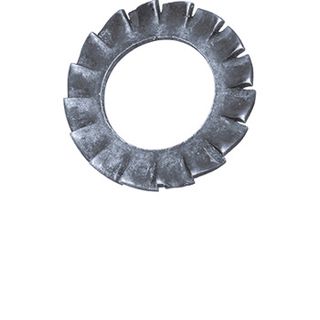 01.300.100.30 Fächerscheiben