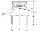 Heizkörperentlüfter ER 40 VENT 1/4" 240.5418.000 automatisch wirkend - Taconova
