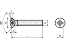 Lsk-Schr Pozi INOX A2 BN83496 DIN966A M2x6 - Bossard Schrauben
