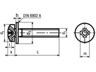 Lins-Kombischr Phil Scheibe 4.8 vzb BN1719 DIN7985Z1 M4x12 - Bossard Schrauben