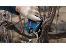 Akku-Gartenschere GGP 12V-25 bis Ø25mm, 4'500 Schnitte pro Akkuladung, 0.83kg - Bosch Elektrowerkzeuge