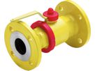 RMA Kugelhahn mit Flanschen für Gas PN 5 Typ HKSF-I-GT DN 50 - Wild Gebäudeeinführung