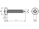 Lins-Blechschr I-6rd Spitze INOX A2 BN9995 6,3x16/X30 - Bossard Schrauben