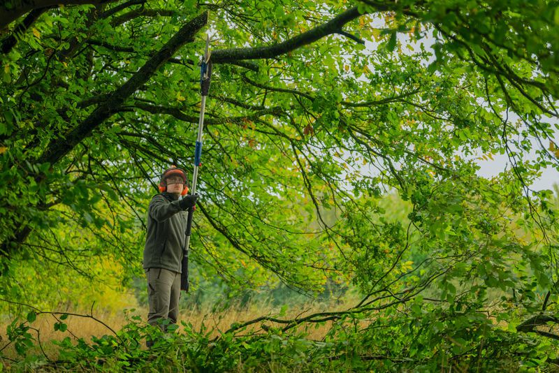 Akku-Teleskop-Kettensäge GKE 18V-25 TP Schwert 230mm, 7.7m/s, 2.9m Teleskop, Schultergurt - Bosch Elektrowerkzeuge