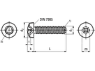 Gew-Furch Linsenschr Pozi St vzb BN2724 DIN7500C M2,5x10 - Bossard Schrauben