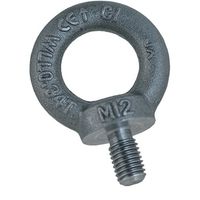 258 Ringschrauben