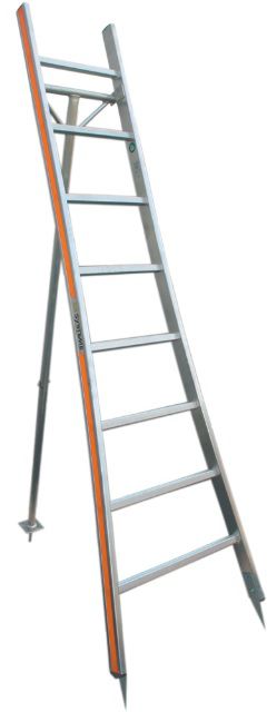 HB Buschbaumleiter mit Stütze Typ 186, 10 Sprossen, L=3.09m - Garten