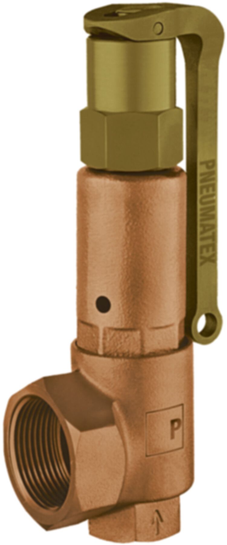 Sicherheitsventile IMI DG/H SWISS