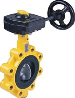 Absperrklappen mit Getriebe HAWLE 9937