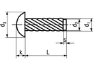 Hammerschr Typ U Halbrundkopf A2 BN689 1,85x4,76 - Bossard Schrauben