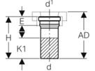 Regenwasser-Anschlussgarnitur senkrecht d110/110mm Silent-db 20 310.969.00.1 - Geberit-Dachentwässerung