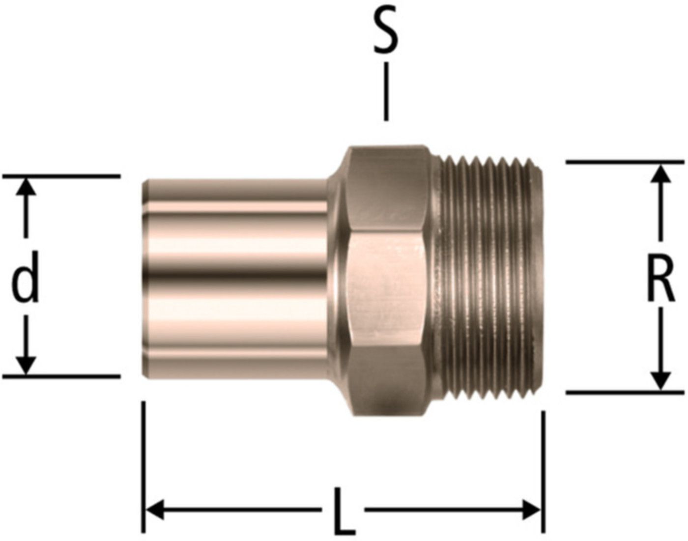 Übergang mit AG 12 x 1/2" 81036.20 mit Einsteckende - Nussbaum-Optipress-Rotguss-Fittings