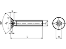 Senkschr Phil INOX A2 BN661 DIN965A M5x30 - Bossard Schrauben