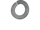 Federringe gewölbt Federst mvzb BN769 DIN128A M14 - Bossard Schrauben