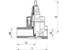 Hausanschluss-Schieber mit IG/AG 2520 1 1/4" - 2" - Hawle Hausanschluss- und Anbohrarmaturen