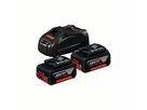 Basis-Set GBA 18V 2xGBA, 18V 5.0Ah + Ladegrät GAL 1880 CV - Bosch Maschinenzubehör